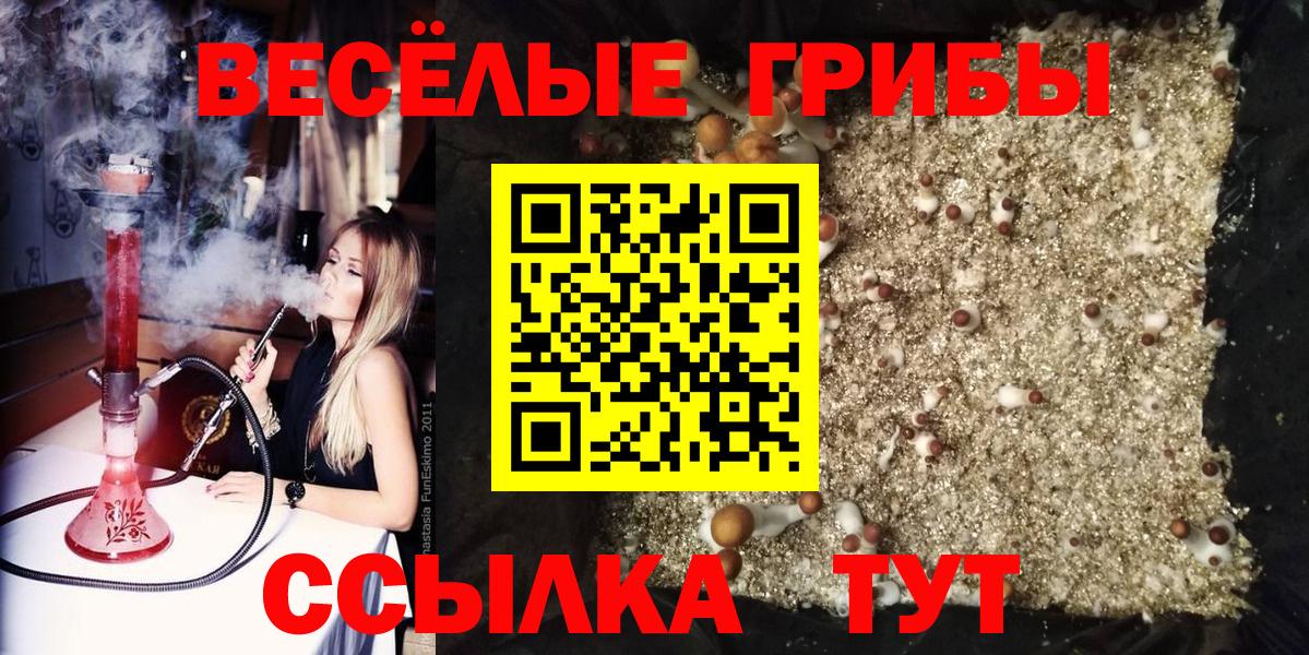 Бошки Шишки Ахтубинск
