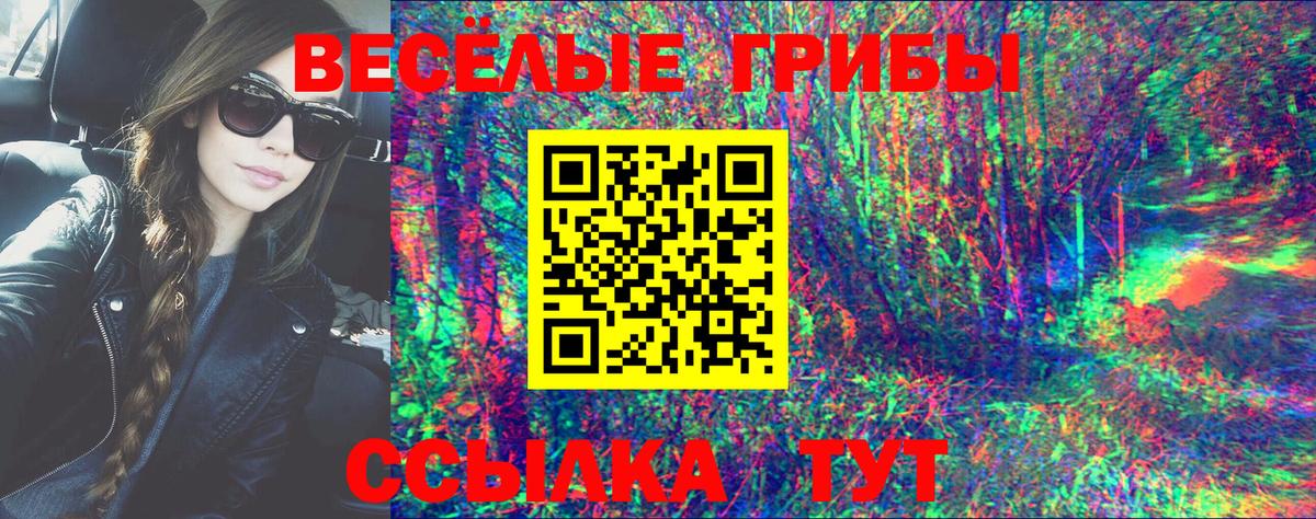 Галлюциногенные грибы GOLDEN TEACHER  Псилоцибиновые грибы GOLDEN TEACHER  Вход с VPN  Ахтубинск 
